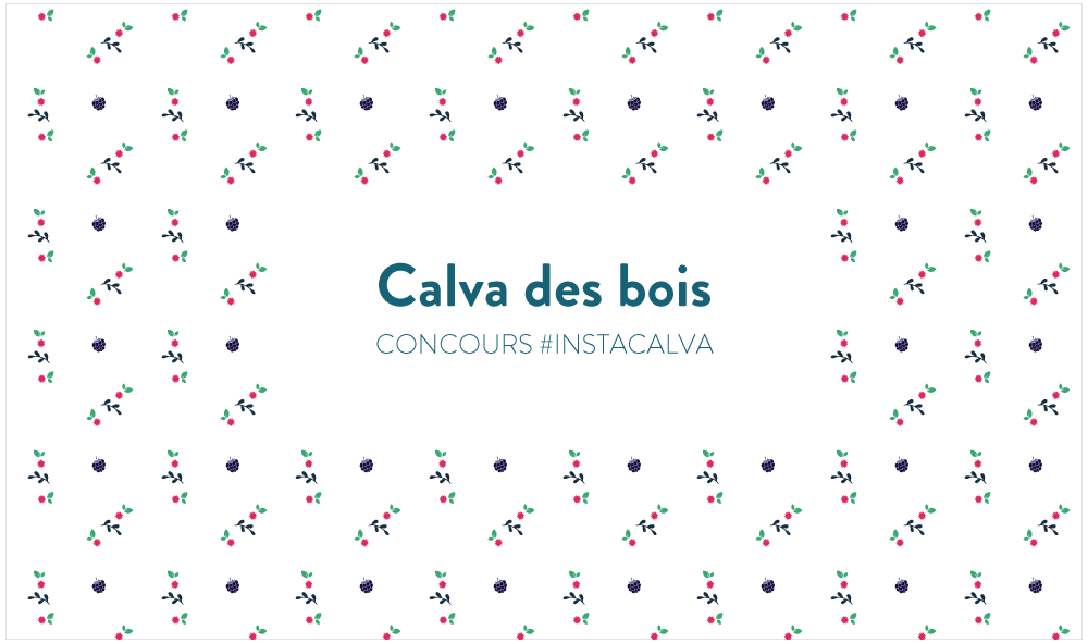 MOTIFS-2016-été-calvadesbois2